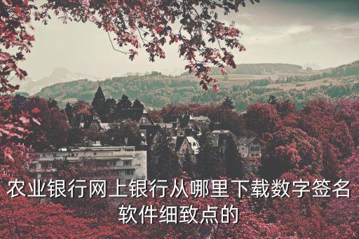 農(nóng)行怎么簽名，那個(gè)中國農(nóng)業(yè)銀行網(wǎng)上簽名控件咋弄得
