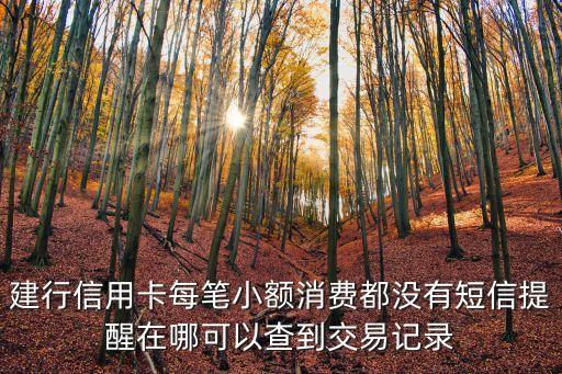 建行信用卡每筆小額消費都沒有短信提醒在哪可以查到交易記錄