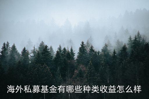 海外私募基金有哪些種類收益怎么樣