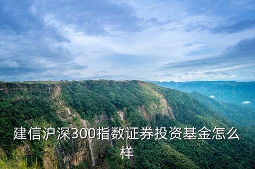 建信滬深300指數(shù)證券投資基金怎么樣