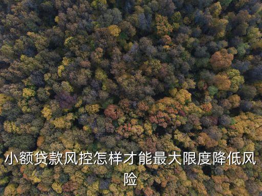 怎么躲避小額貸款風控，小額貸款風控怎樣才能最大限度降低風險
