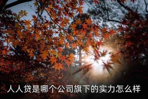 人人貸 公司怎么樣，人人貸是哪個(gè)公司旗下的實(shí)力怎么樣