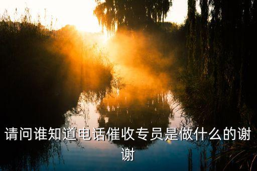 請問誰知道電話催收專員是做什么的謝謝