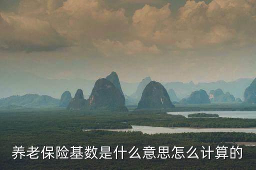 養(yǎng)老保險(xiǎn)基數(shù)是什么意思怎么計(jì)算的