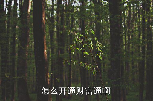 怎么開(kāi)通財(cái)富通啊