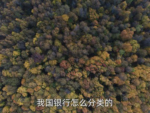我國銀行怎么分類的