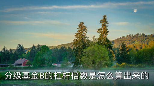 分級(jí)基金B(yǎng)的杠桿倍數(shù)是怎么算出來(lái)的
