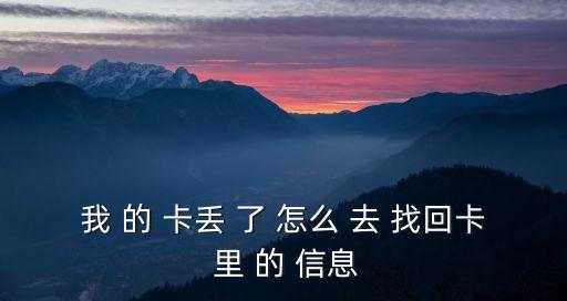 我 的 卡丟 了 怎么 去 找回卡 里 的 信息