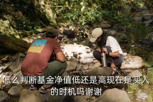 基金低位怎么判斷，關(guān)于基金的凈值高低問(wèn)題