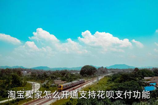 商家花唄手機怎么開通花唄支付功能，淘寶賣家怎么開通支持花唄支付功能