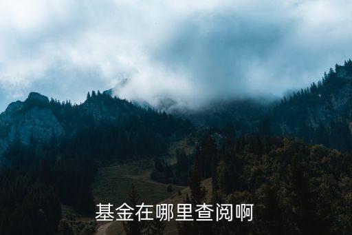 510160基金規(guī)模怎么查，基金里怎么知道自己買了多少單位是根據(jù)總共花的錢除以單位凈值么