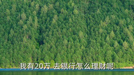 我有20萬 去銀行怎么理財(cái)呢