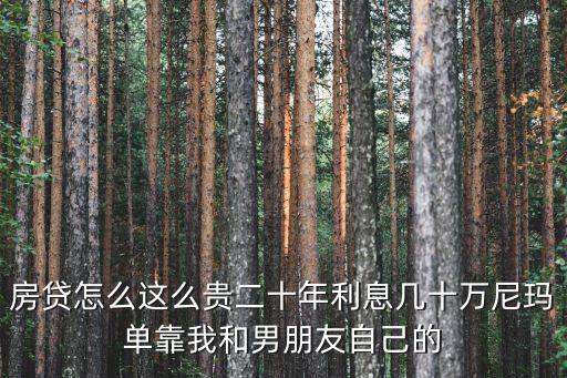 房貸怎么這么貴二十年利息幾十萬尼瑪單靠我和男朋友自己的