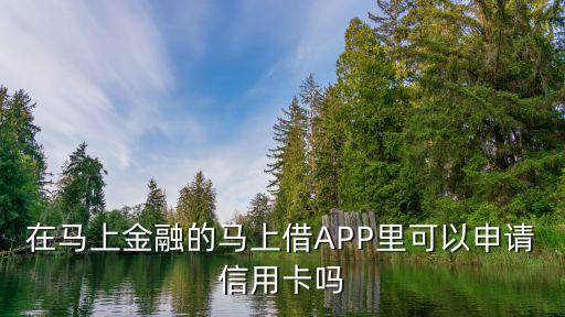 在馬上金融的馬上借APP里可以申請信用卡嗎