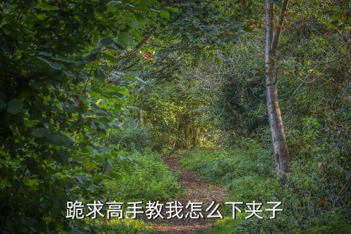 跪求高手教我怎么下夾子