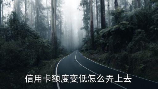 信用卡額度變低怎么弄上去