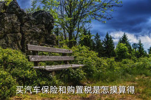車輛保險稅怎么計算，買汽車保險和購置稅是怎摸算得