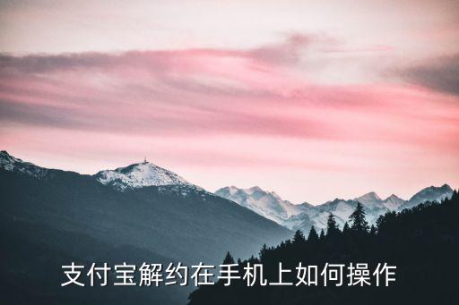 支付寶解約在手機上如何操作