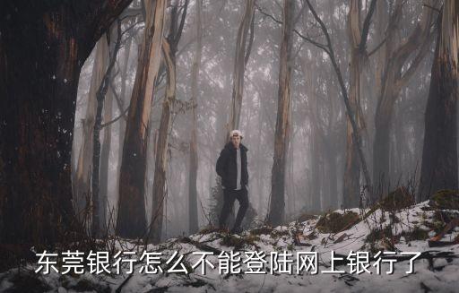 東莞銀行怎么不能登陸網(wǎng)上銀行了