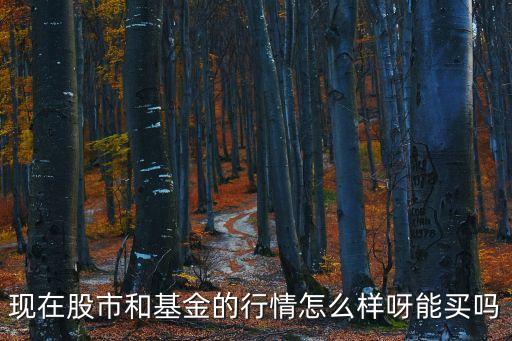 現(xiàn)在股市和基金的行情怎么樣呀能買嗎