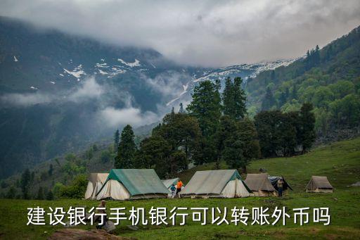 建設(shè)銀行手機(jī)銀行可以轉(zhuǎn)賬外幣嗎