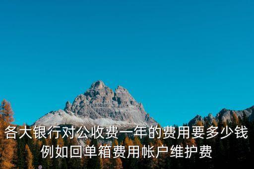 公司對公賬戶怎么收費，求答案各大銀行對公賬戶的年費標準
