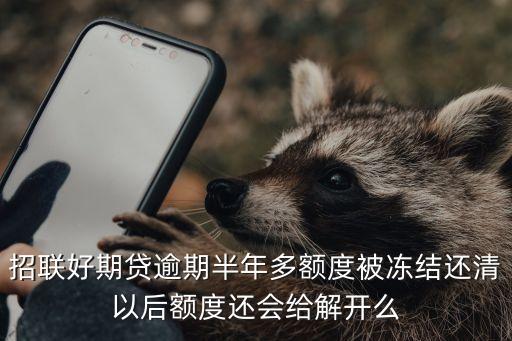 招聯(lián)好期貸逾期半年多額度被凍結(jié)還清以后額度還會(huì)給解開(kāi)么