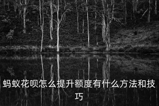 螞蟻花唄怎么提升額度有什么方法和技巧