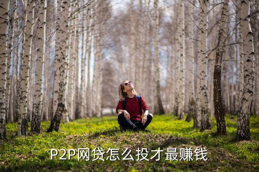 p2p投資怎么投最賺錢，如果投P2P哪種方式賺錢多點穩(wěn)定點