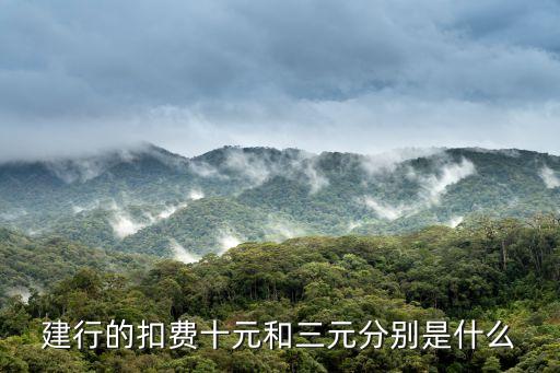 建行的扣費十元和三元分別是什么