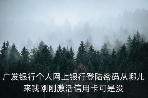 廣發(fā)銀行個人網(wǎng)上銀行登陸密碼從哪兒來我剛剛激活信用卡可是沒
