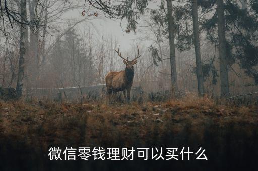 微信零錢(qián)理財(cái)可以買(mǎi)什么