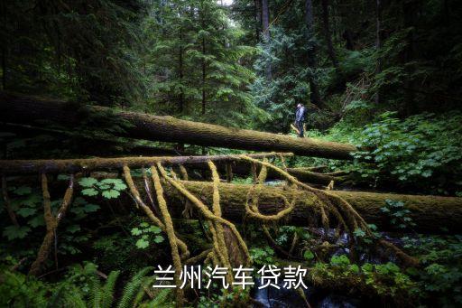 蘭州按揭車貸款怎么貸，按揭車怎么貸款