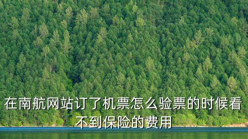 在南航網(wǎng)站訂了機(jī)票怎么驗(yàn)票的時(shí)候看不到保險(xiǎn)的費(fèi)用
