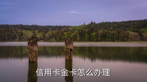 信用卡金卡怎么辦理
