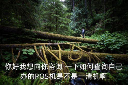 你好我想向你咨詢 一下如何查詢自己辦的POS機(jī)是不是一清機(jī)啊