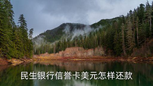 民生信用卡美元怎么還款嗎，用民生信用卡消費了美金是直接還完賬單就可以了還是要另外還美