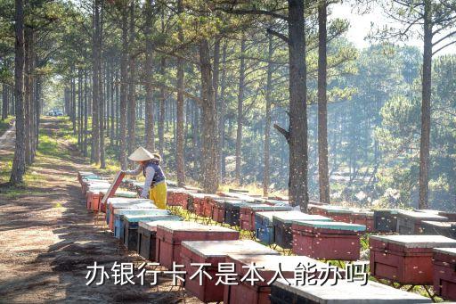 辦銀行卡不是本人能辦嗎