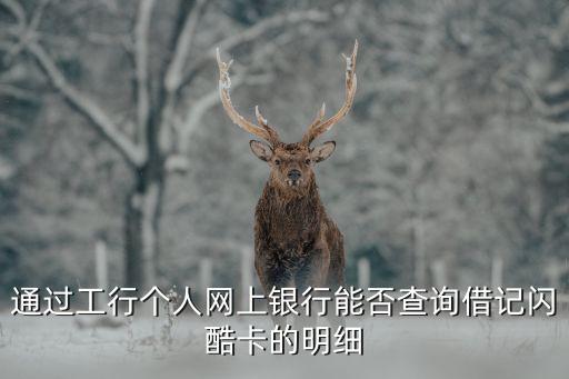 怎么查看閃酷借記卡，通過(guò)工行個(gè)人網(wǎng)上銀行能否查詢借記閃酷卡的明細(xì)