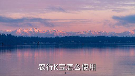農(nóng)業(yè)掌上銀行k寶怎么用，農(nóng)業(yè)K寶怎么用