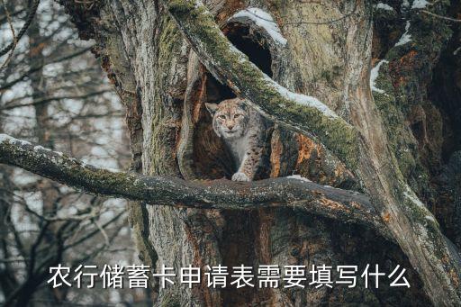 辦農(nóng)行卡單子怎么填寫，農(nóng)行儲(chǔ)蓄卡申請表需要填寫什么