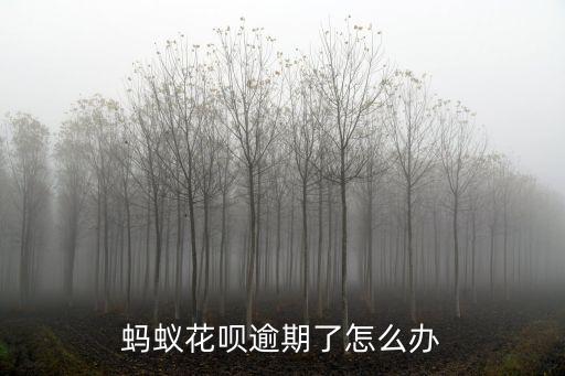 螞蟻花唄過期還款怎么辦，螞蟻花唄逾期了怎么辦