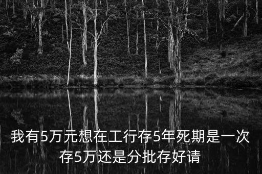 我有5萬元想在工行存5年死期是一次存5萬還是分批存好請