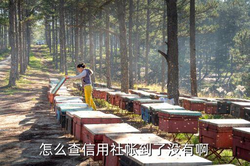 怎么查信用社帳到了沒有啊
