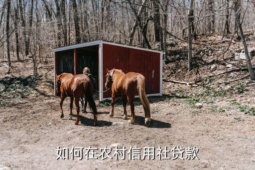 農(nóng)民信用社貸款怎么貸，農(nóng)村信用社貸款怎么貸