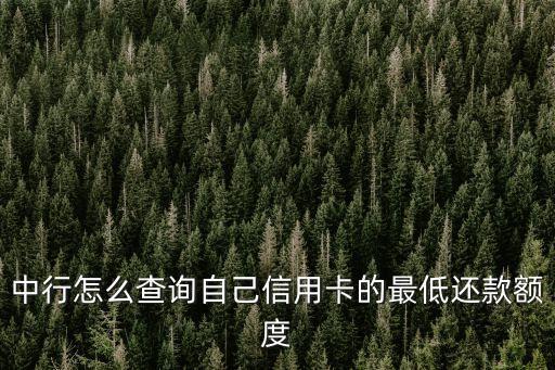 中行怎么查詢自己信用卡的最低還款額度