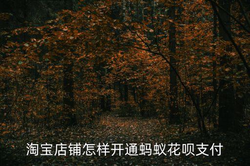 淘寶店鋪怎樣開通螞蟻花唄支付