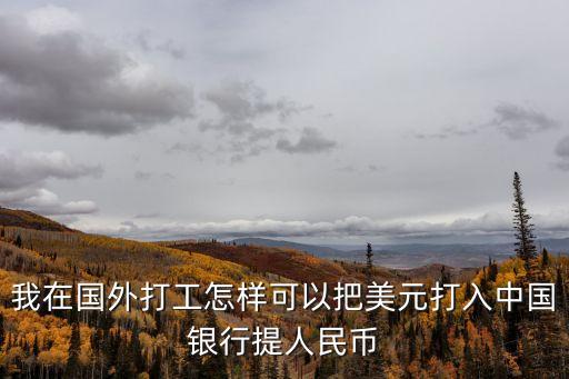 美元怎么進(jìn)入中國銀行，中國銀行網(wǎng)上銀行在手機(jī)上怎么樣對美元