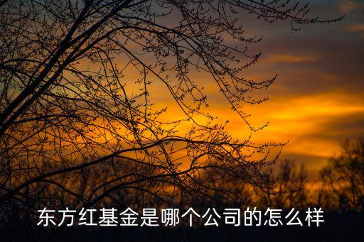 東方紅睿豐基金怎么樣，東方紅基金是哪個公司的怎么樣