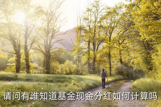 投資怎么分紅計算，分紅紅利咋算